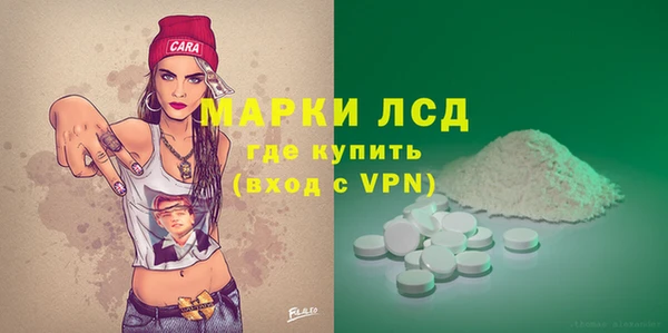 гашик Горняк