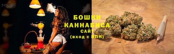 ГАЛЛЮЦИНОГЕННЫЕ ГРИБЫ Беслан