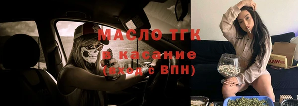 гашик Горняк