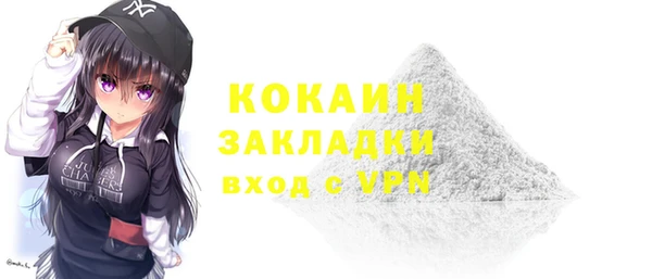 гашик Горняк