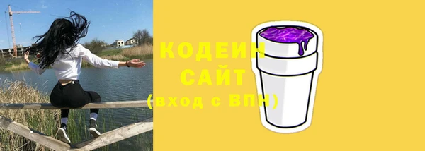 гашик Горняк