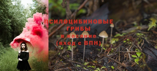 трава Горно-Алтайск