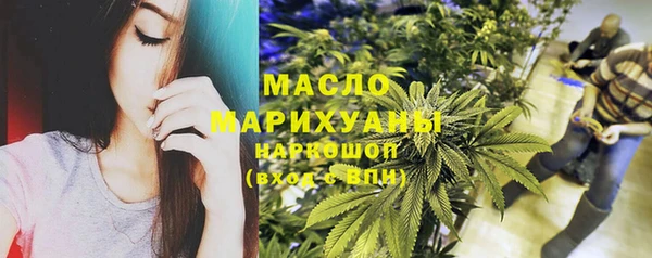 гашик Горняк