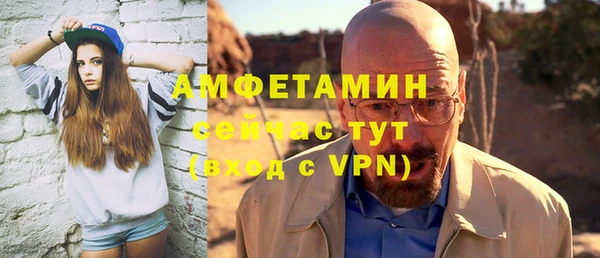 гашик Горняк