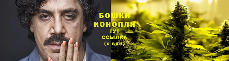 Шишки марихуана THC 21%  Городовиковск 